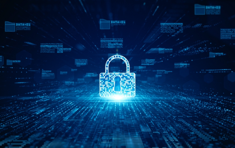 Network Security & Traffic Management Systems